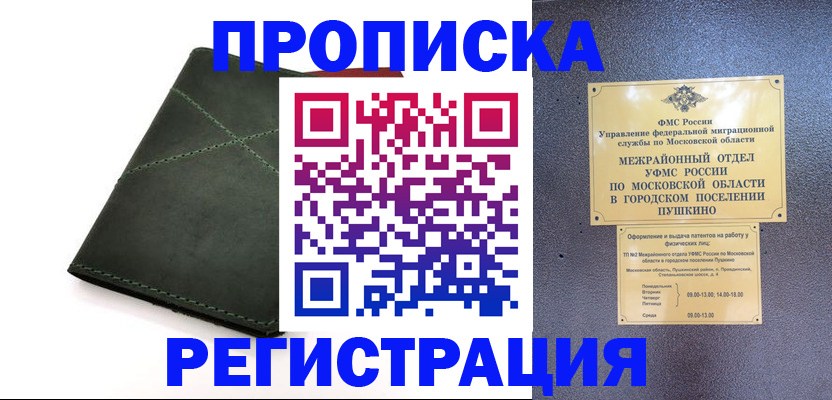 прописка в квартире в Камчатской области